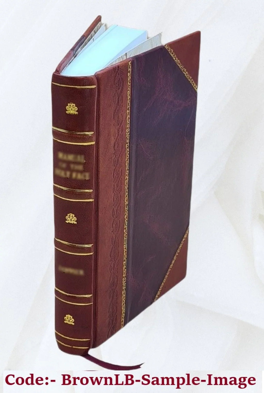 ed. 1908 numerous illustrations. writers, Esther by and with collected described Switzerland Bound] Singleton; great [Leather as by