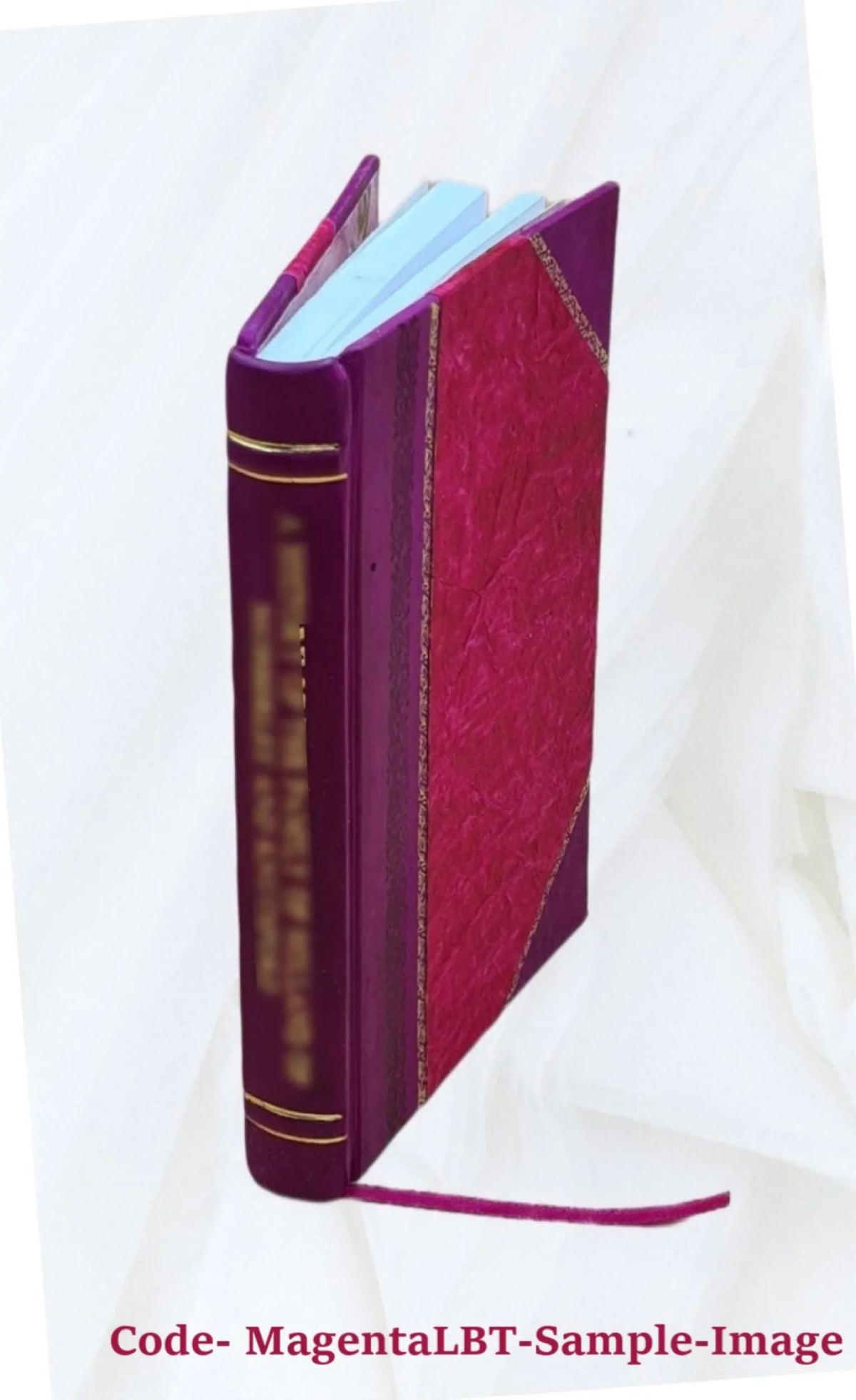 Air for Bound] cleaners [Leather Volume 1930 motor vehicles B499