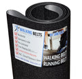 1ply Sand 6.7C Treadmill Blast NordicTrack Belt 250231 Running T
