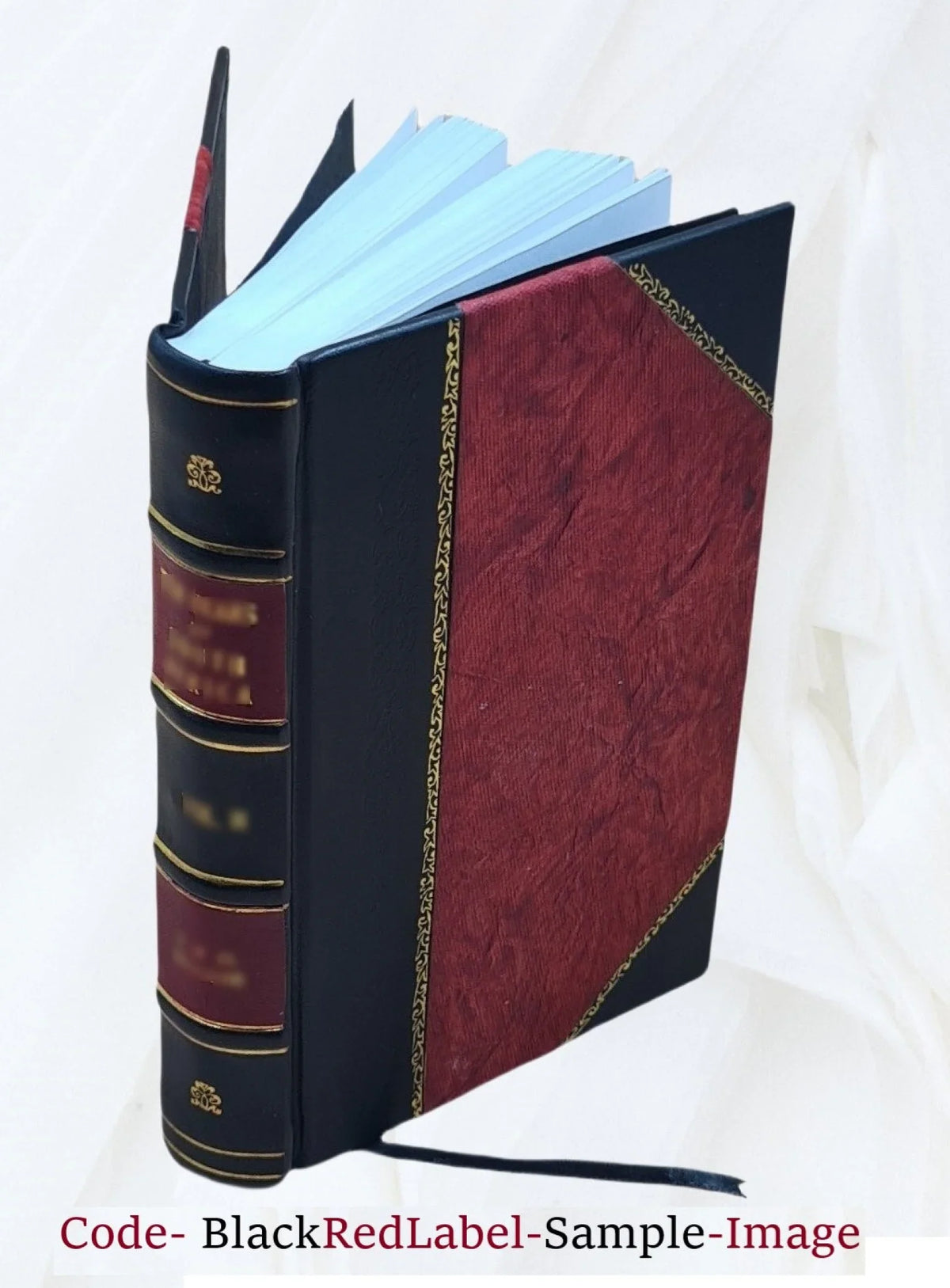 v.2 mask Volume 1826 brazen Charlotte : romance Bound] The [Leather by Putney. a /