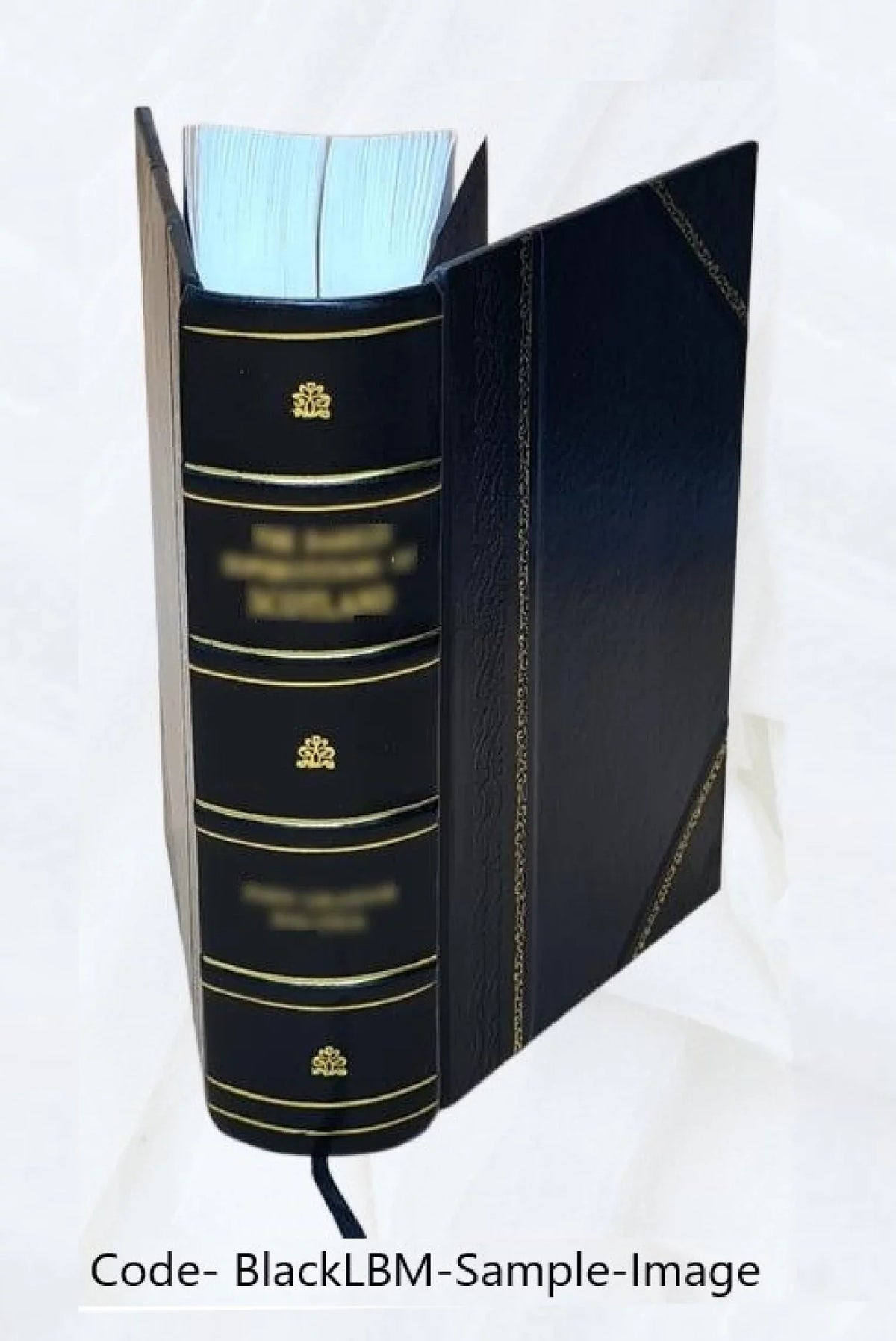 de avec comte et prince le l'empereur Joseph II Bound] 1889 Correspondance secrète Volume Kaunitz 2 de du Argenteau [Leather Mercy
